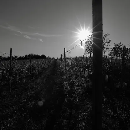 Crotin 1897 Séjour à la ferme