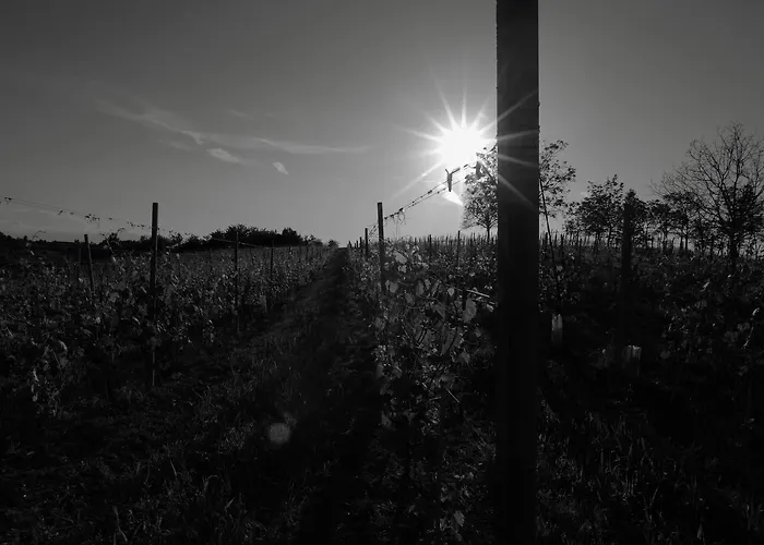 Crotin 1897 Çiftlik konaklama